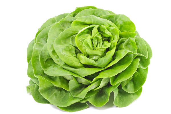 Lechuga francesa (pieza)